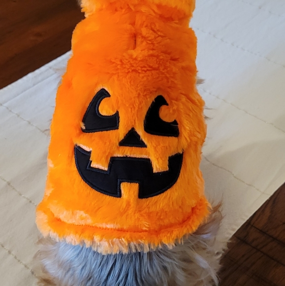 2X Host Pick 🐶🥰🐕 Dog Pumpkin Halloween Costume XS - Picture 7 of 16